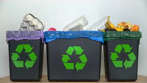 12 Eco friendly Habits for a More Sustainable Life