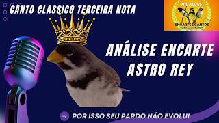 Could Astro Rey be hindering your collared dove? Find out more.