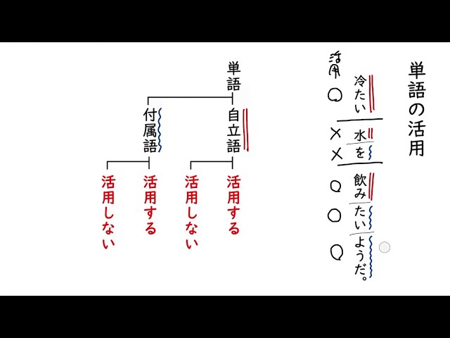 単語の活用 Youtube