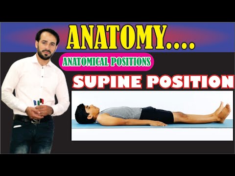 Supine Position | Anatomical Positions | Explained Practically | Learn Conceptually