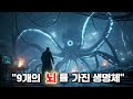 “문어는 뇌가 9개… 근데 더 미친 건 따로 있다”