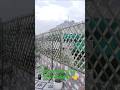 bamboo fencing contact now