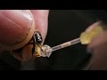 The Delicate Work Of Bee Breeding The Delicate Work Of Bee Breeding