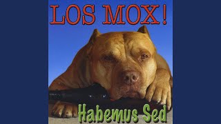 Video thumbnail of "Los Mox! - Me Duele La Mente"