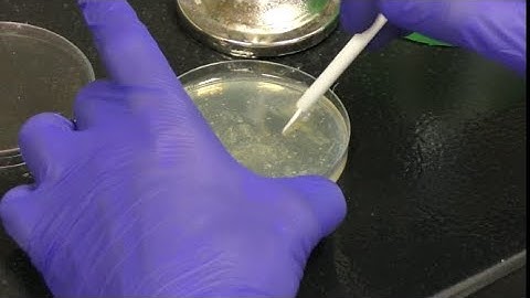 Making High Titer lysates