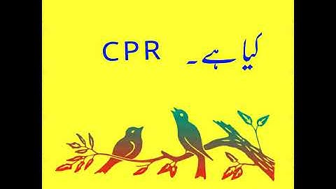 Rescue 1122 interview questions 2020