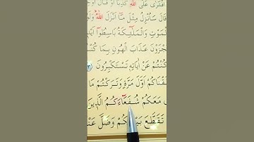 سورة الأنعام الأية 94 القارئ سعد الغامدي