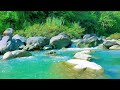 Gentle River Serenity – 12H Relaxing Flow for Meditation