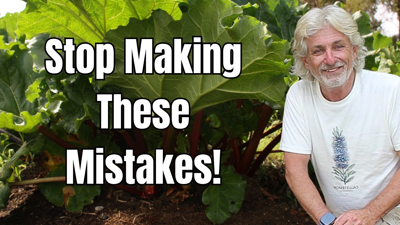 How to Grow Rhubarb at Home (The Right Way)