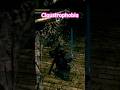 Claustrophobia #gaming #soulsborne #darksouls