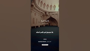 ﴿سورة النور﴾بصوت القارئ عمر بن ضياء الدين 🕊️🫀🤍