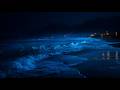Fall Asleep In Under 3 Minutes - Soothing Night Ocean Silence on Black Screen for Calm and Peaceful