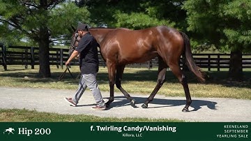 Hip 200- Twirling Candy x Vanishing 