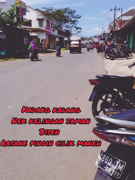 Kembang tebu story wa