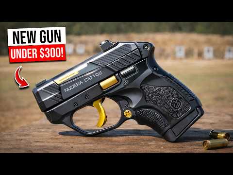 Top 10 Guns Under $300 in 2026 – The #1 Choice Shocks Everyone!