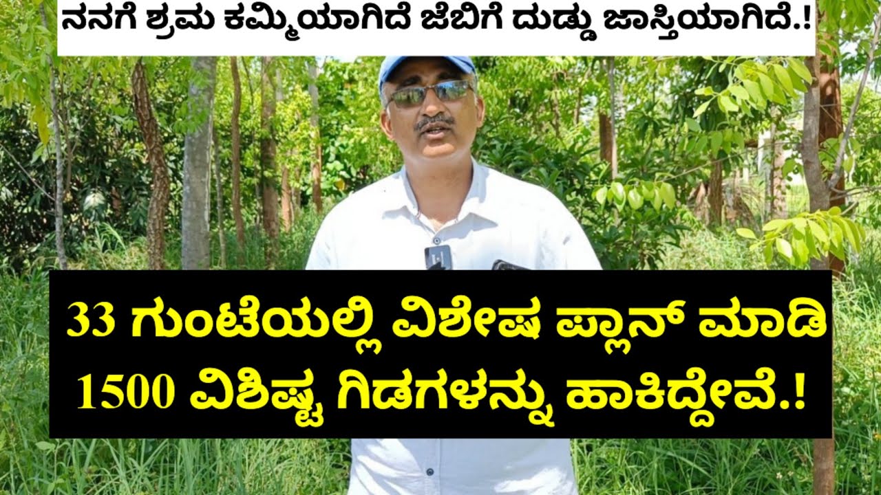 33 ಗುಂಟೆಯಲ್ಲಿ ವಿಶೇಷ ಪ್ಲಾನ್ ಮಾಡಿ 1500 ವಿಶಿಷ್ಟ ಗಿಡಗಳನ್ನು ಹಾಕಿದ್ದೇವೆ.! ಗಿಡಗಳ ನೋಡಿ ಆಶ್ಚರ್ಯ ಪಡುತ್ತಿದ್ದಾರೆ