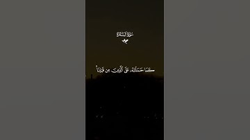 لا تقاطع القرآن 🔉 🎧 🤍 #قران #احمد_العجمى #تلاوة_خاشعة