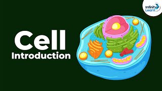 Cells - Introduction | Biology | Don't Memorise