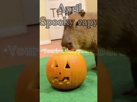 Your month your