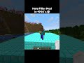 Minecraft Hole filler mod moment 💀