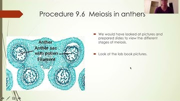 Bio123 Lab 9 Part 2 virtual lab video