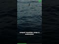 Deep Ocean 🌊