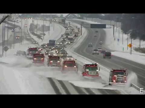Group of trucks