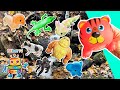 Learn Animal Names for Babies Toddlers Preschoolers Kids: Tiger Chimp Dog