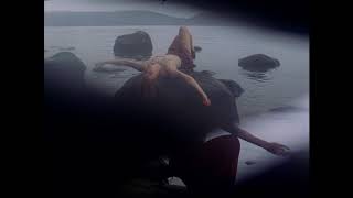 Sontag Shogun - It Billows Up (Official Video)