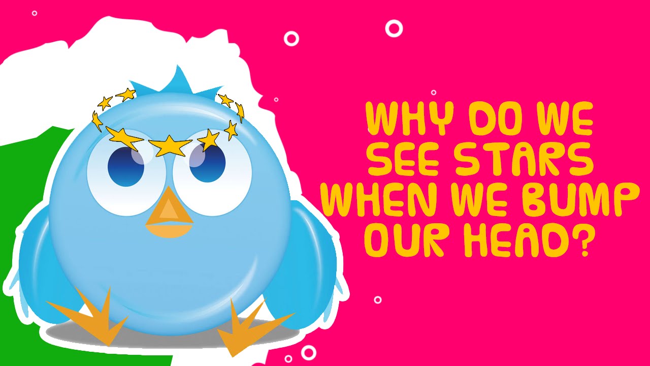 Interesting Facts Why do we See Stars when we Bump Our Head