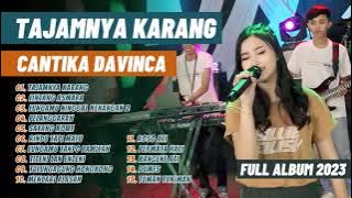Cantika Davinca - TAJAMNYA KARANG - LINTANG ASMARA - PELANGGARAN | Ageng Music | FULL ALBUM 2023