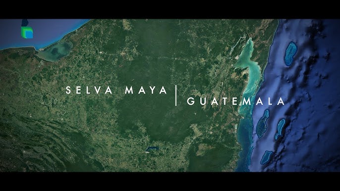 🌳Selva Maya (Guatemala). "Sin los bosques, no somos nada" - YouTube