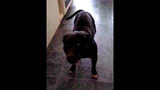 Stop Pointing That Cam At Me