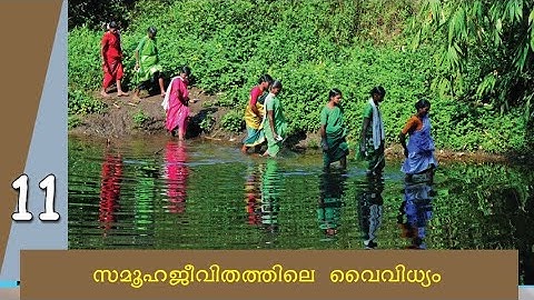 സമൂഹജീവിതത്തിലെ വൈവിധ്യം | 6th std Social Science | PSC SCERT Capsule