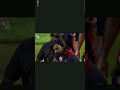 #song #bollywood #love #music #hindisong #cricket