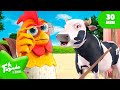 A Vaca Maru Tem | Vamos Conhecer a Vaca Maru | @AFazendaDoZenon 🌈 +Compilação | Desenho Infantil