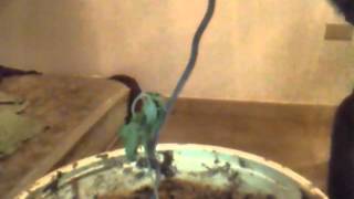Capture 20150624