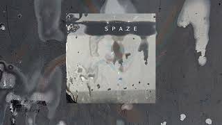 Spaze - The Newest Year (Unofficial)