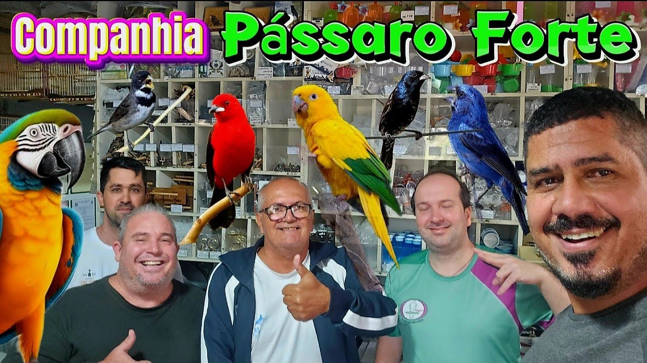 PÁSSAROS NATIVOS A VENDA.