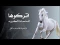 شيلة رقص جديد  اتركوها للمنصات الكبيره   اداء صوت الفخامه متعب الخيل جديد      جديد  وحصري   نجومي