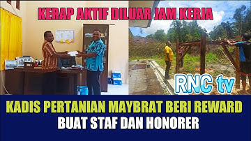 PERTAMA DI MAYBRAT ‼️KEPALA DINAS  PERTANIAN BERI REWARD STAF DAN HONORER‼️RNC TV