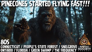 The Frequency That Brings Bigfoot | Bigfoot Society 805
