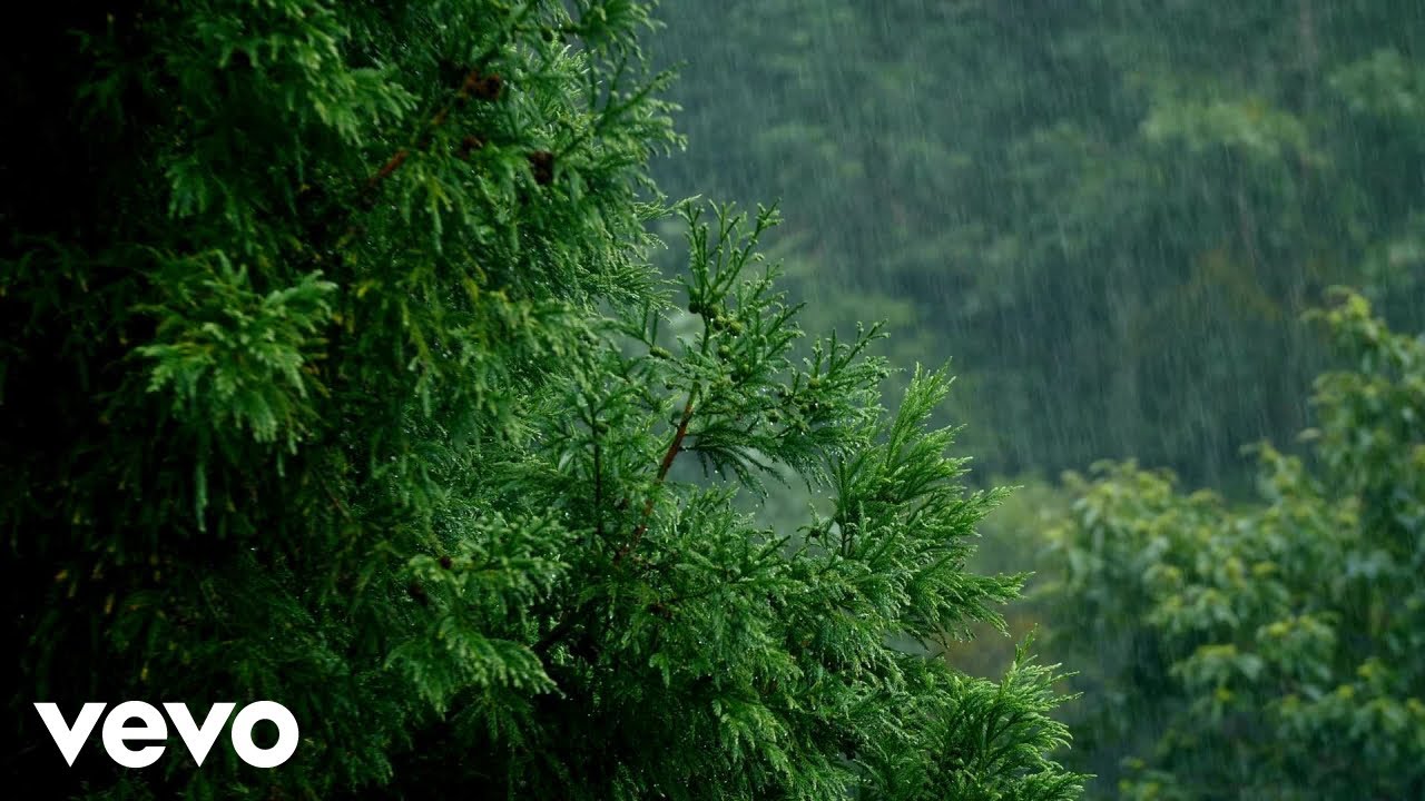 =ANADAVI= - THE MATSES TRIBE (Official Music Video)