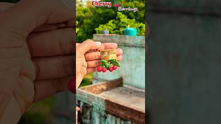 Easy DIY Cherry Earrings Tutorial using Moldit Clay 🍒✨ #diycrafts#shorts