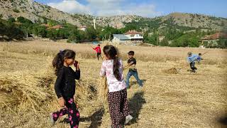 Tokat Turhal Sarıkaya köyü harman zamanı 25 temmuz 2021 Resimi
