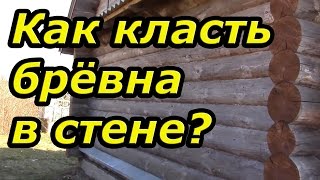 видео Строительство русской бани из бревна своими руками