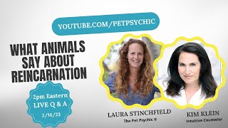 What Animals Say About Reincarnation