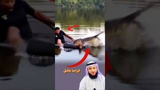 ما بدأ بسكون  مطمئن انتهى بمشهد  مفجع  حيث الألم يسبق الفهم  والنهاية ت كتب بلا رحمة           سمعها