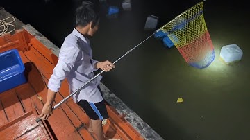 Cách đơn giản nhất để có cá nấu cơm #thuytrieuxoay 293