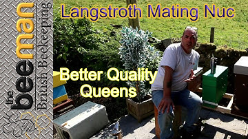 Mating Nucs When Bigger Is Better 3 Frame Langstroth